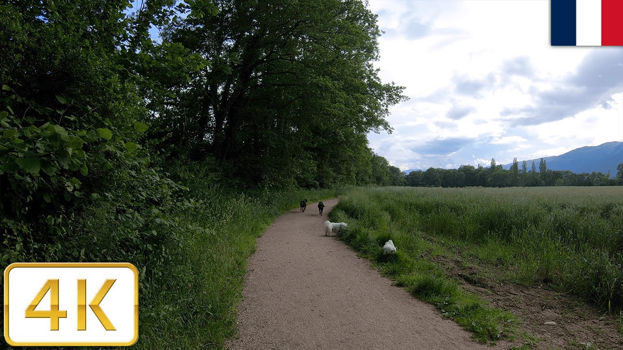 A dog walk in Saint-Genis-Pouilly, France | Spring 2021【4K】