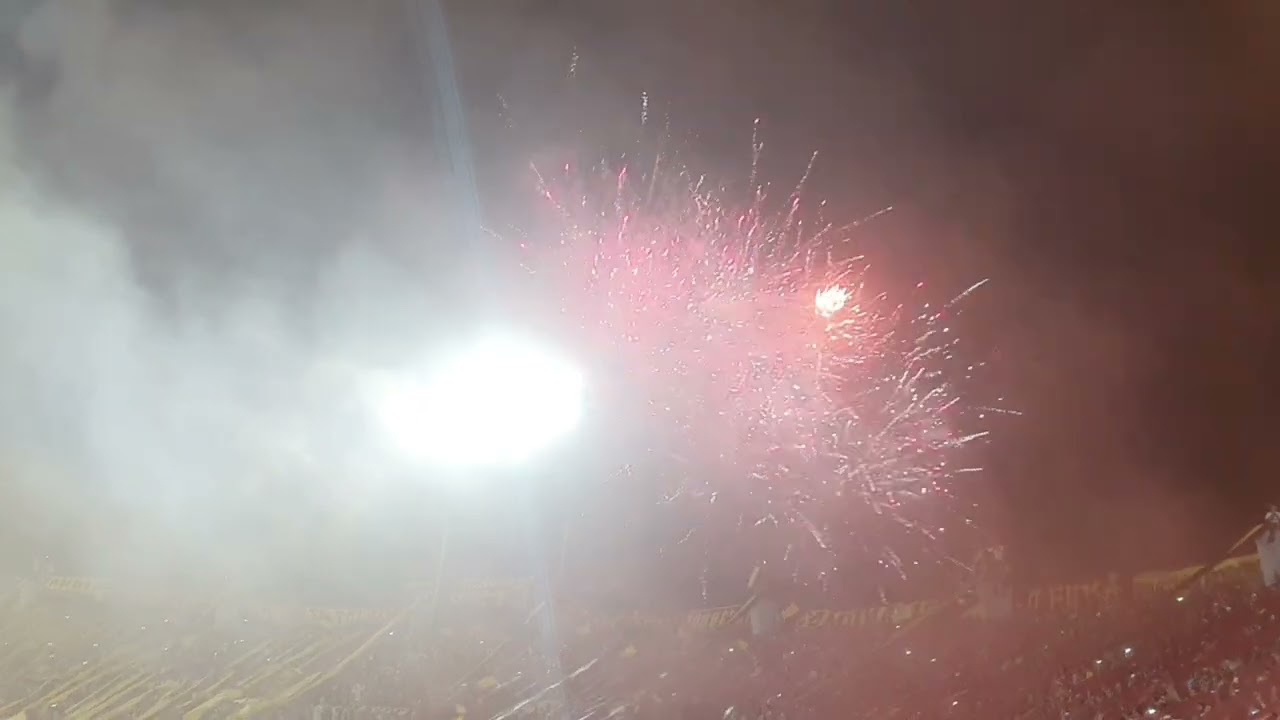REVOLUCIÓN VINOTINTO SUR | TOLIMA  SUBCAMPEÓN LIGA BETPLAY 2022-1 | SANGRE PIJAO