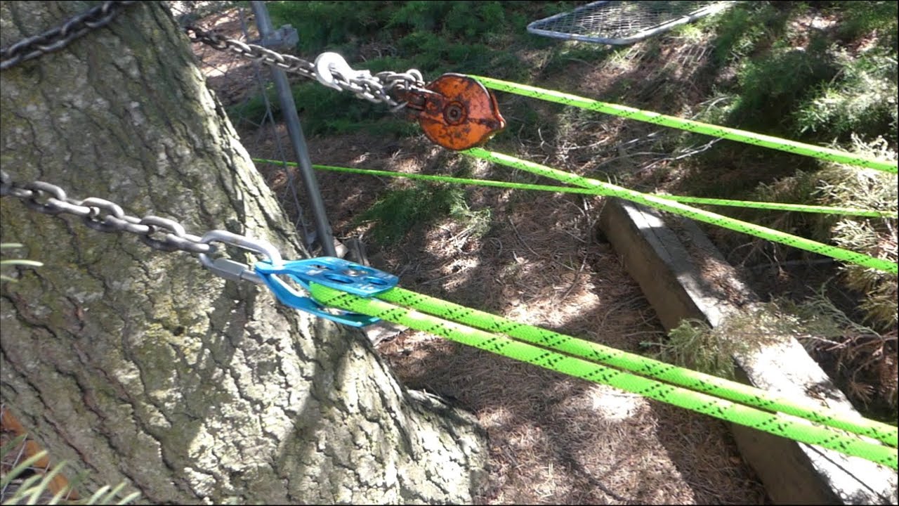 Tree Uprooted with 25 to 1 Compound Block and Tackle