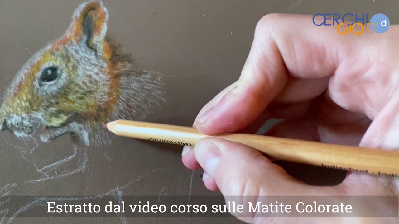 Matite colorate - Come fare uno scoiattolo e scegliere il supporto giusto