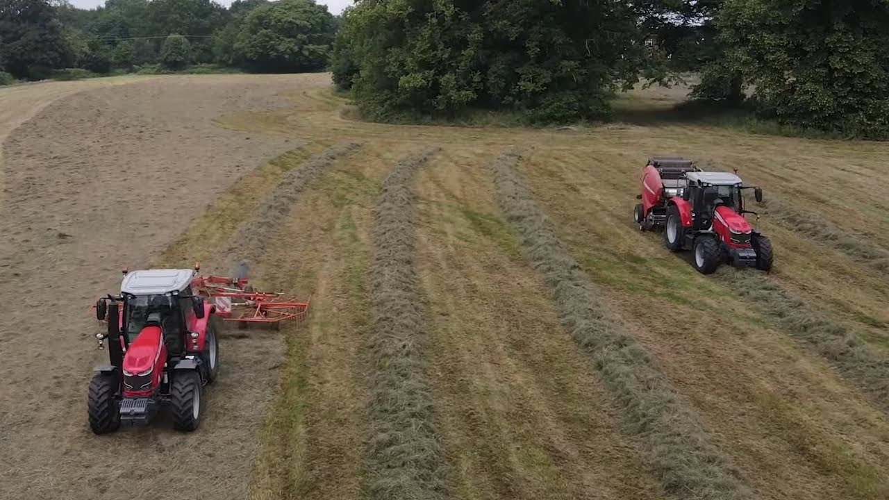 Праздник Massey Ferguson! Сгребание и прессование силоса!