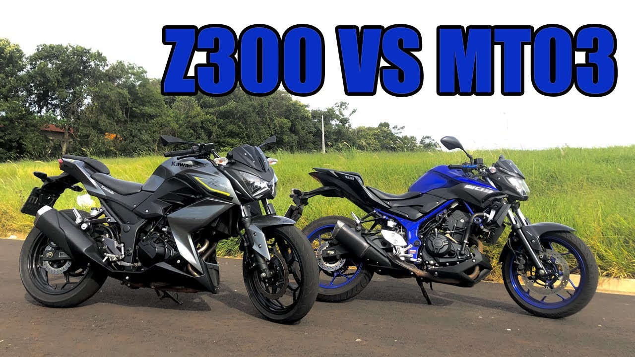 Z300 vs MT03