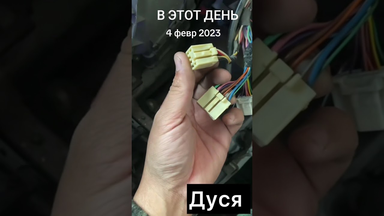#дусяшым