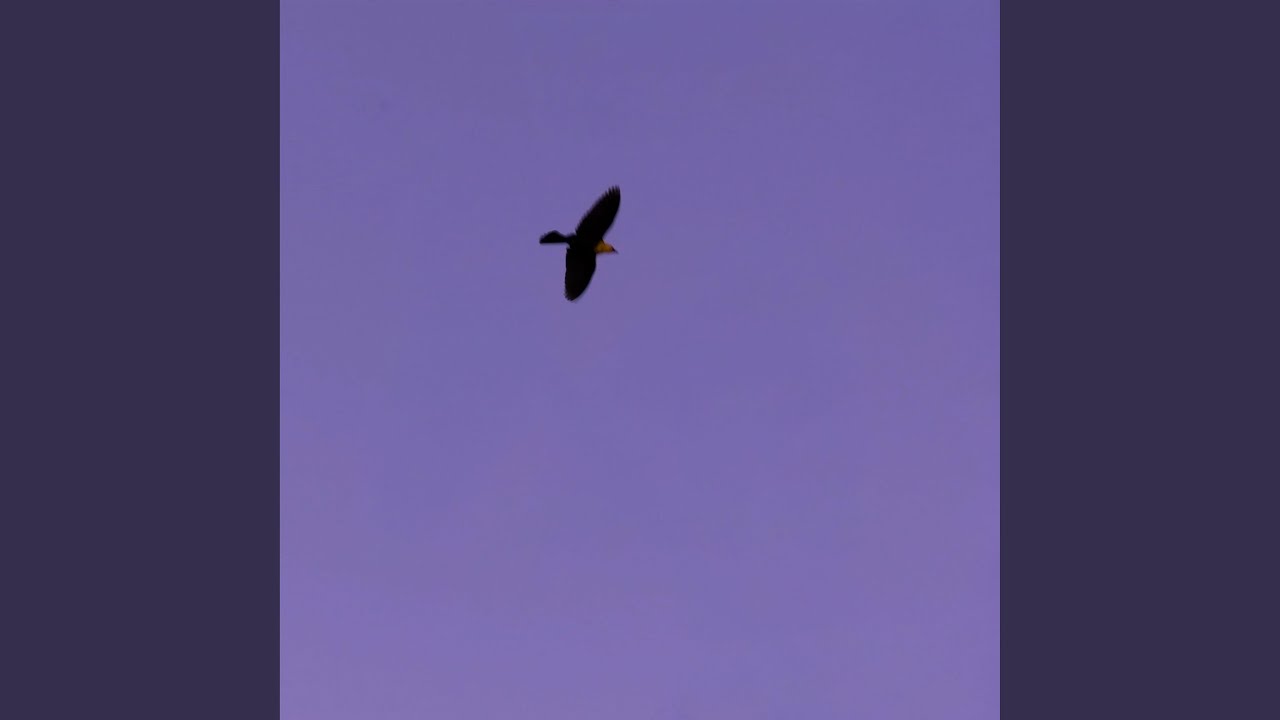 Tejido en mi Piel