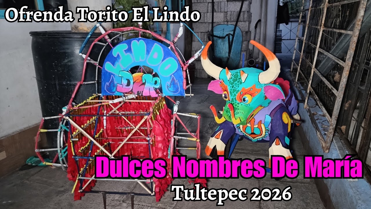 Torito 