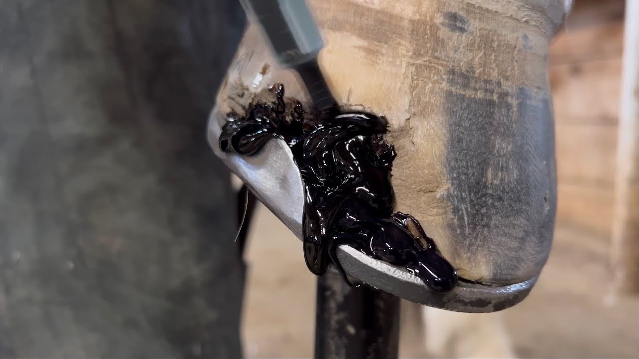ACRYLIC Hoof REPAIR
