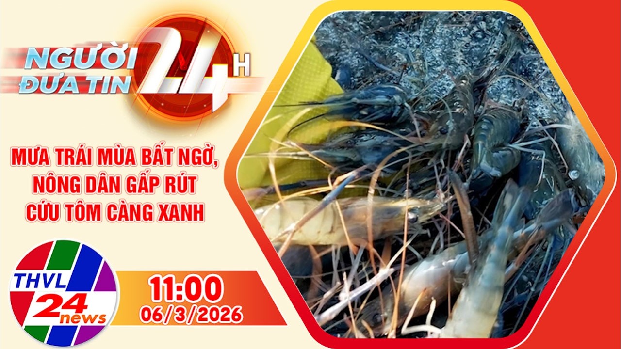 Người đưa tin 24H (11h ngày 06/3/2026) – Mưa trái mùa bất ngờ, nông dân gấp rút cứu tôm càng xanh
