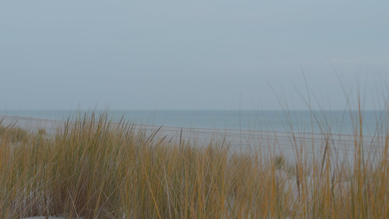 Healing Slowness of Nature - Walk in the dunes at Hel - Winter #10