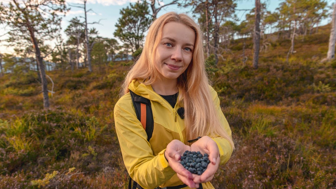 Midweek Hike in Norway: Wild Blueberries, Focaccia & Sunset Views | Hiking Vlog