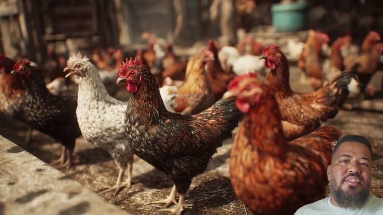 Esta finca sobrevivió a la sequía sin perder una sola cosecha