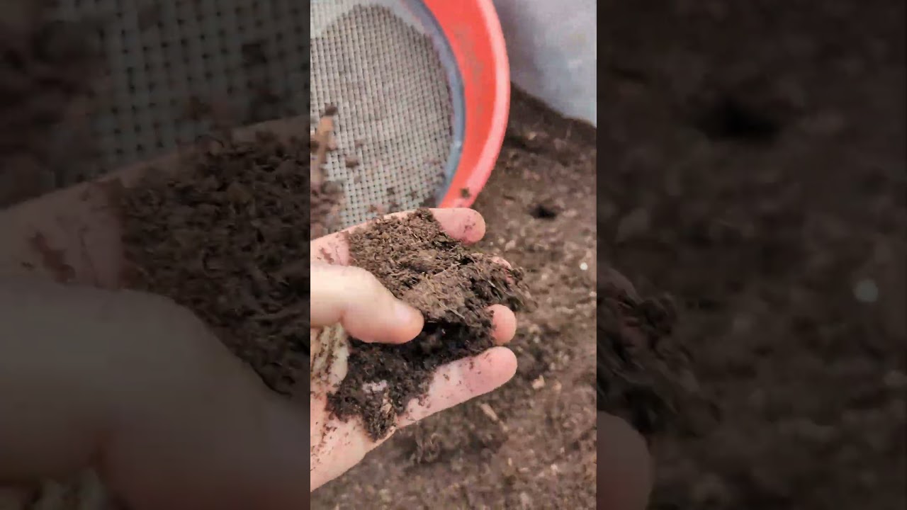 Quel terreau j'utilise pour mes semis ? 