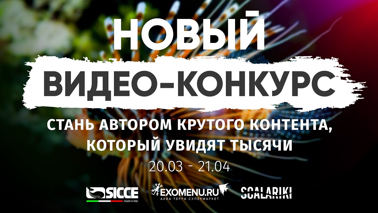 Новый видео конкурс на канале Scalariki
