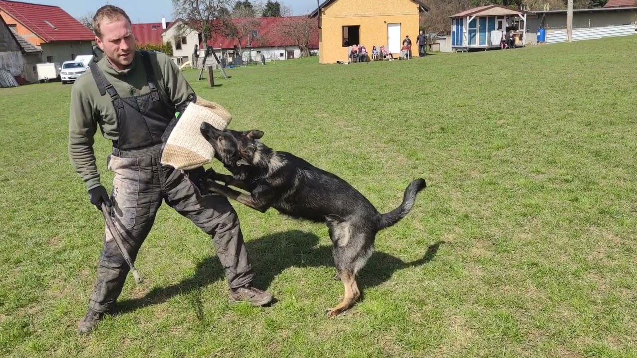 Nico z Lomeck&eacute;ho poles&iacute; Clips of protection