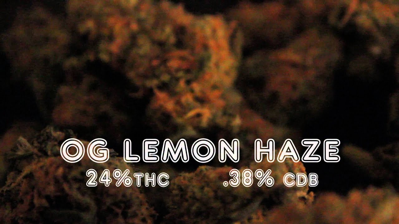 OGSmokers x OG Lemon Haze W.M.V