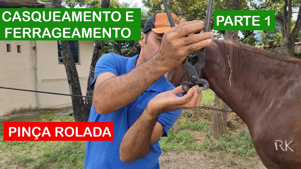 Pinça Rolada: Como Fazer, Vantagens e Efeitos no Cavalo
