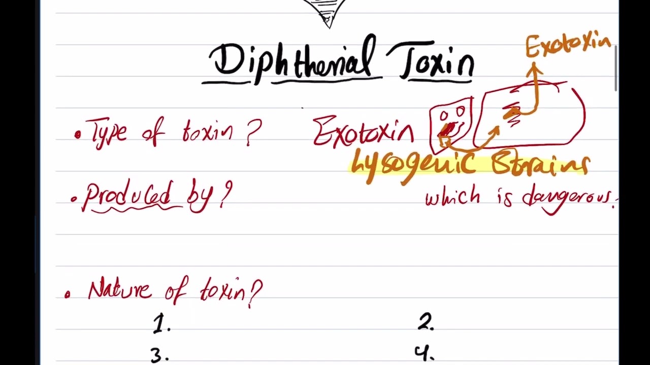 diphtheria
