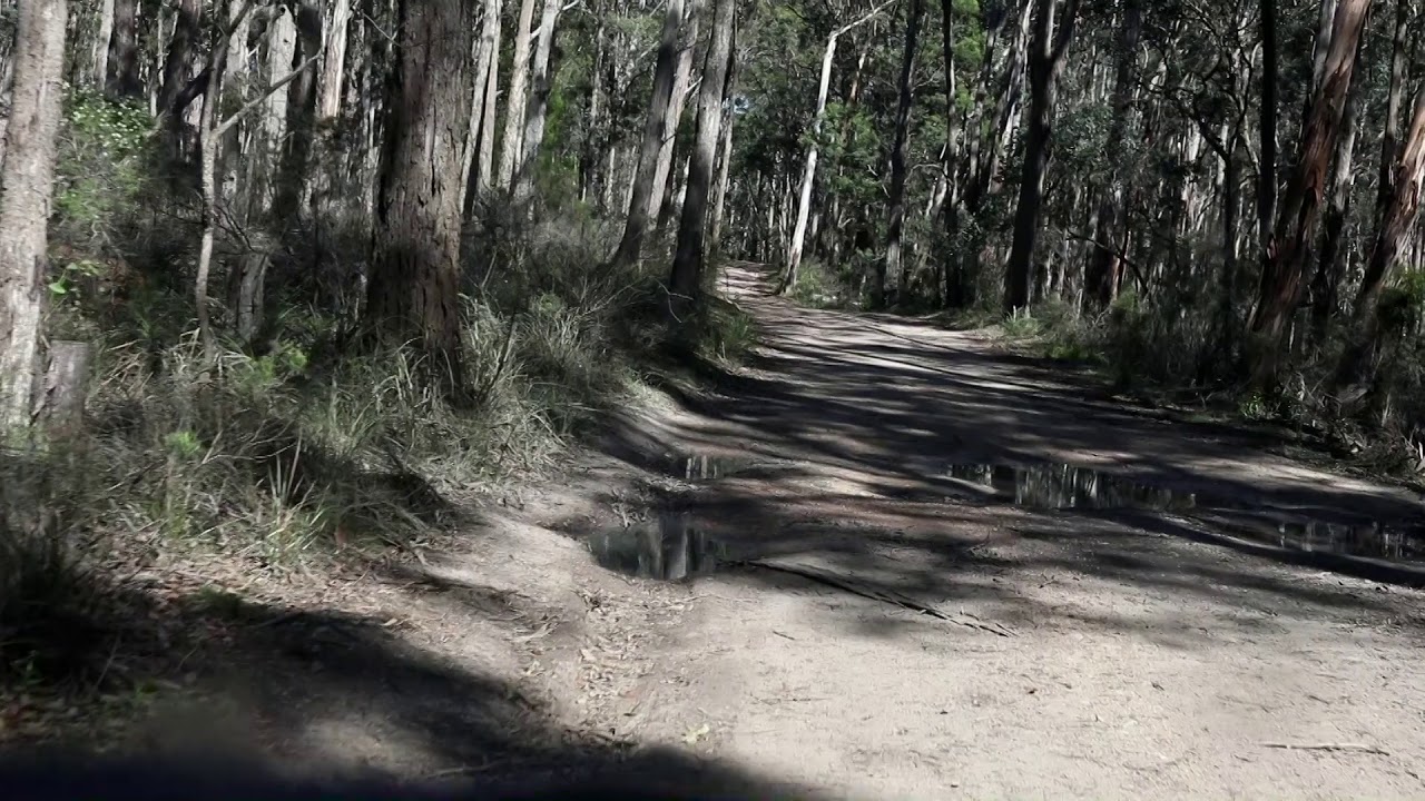 Lake Tyers State Park Vic  Free Campsites