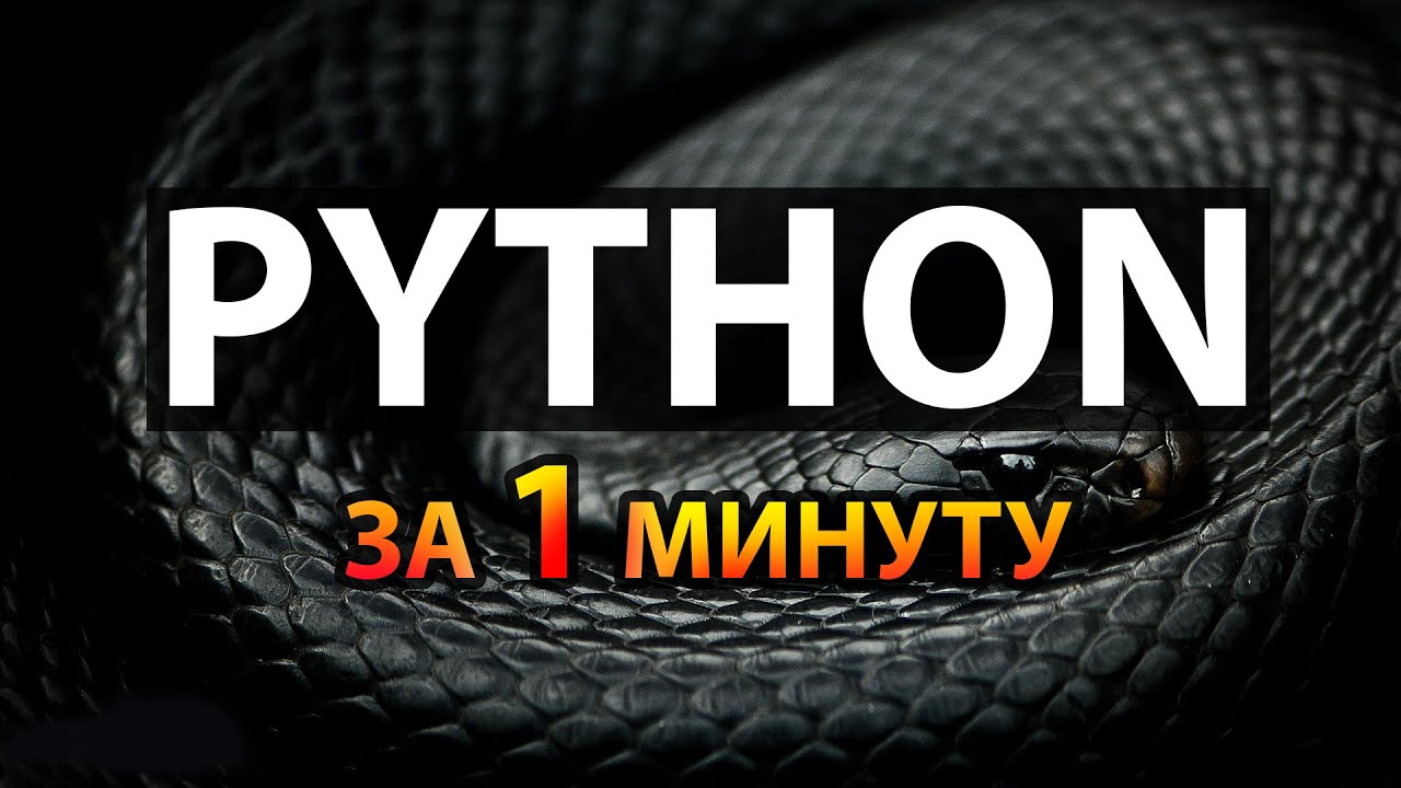 Python за 1 минуту #3: Функции input и перевода типов