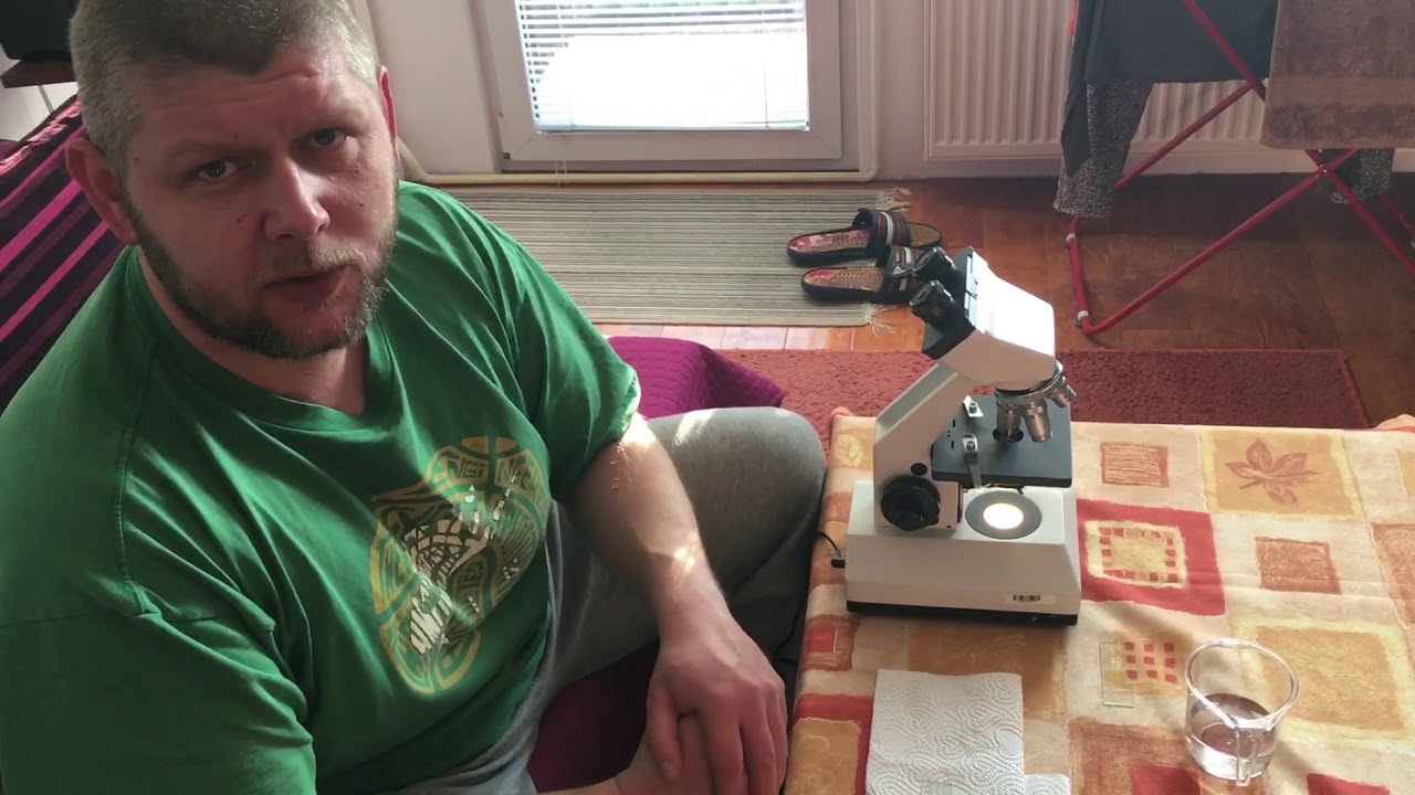 Nosema - szczeg&oacute;łowa diagnostyka