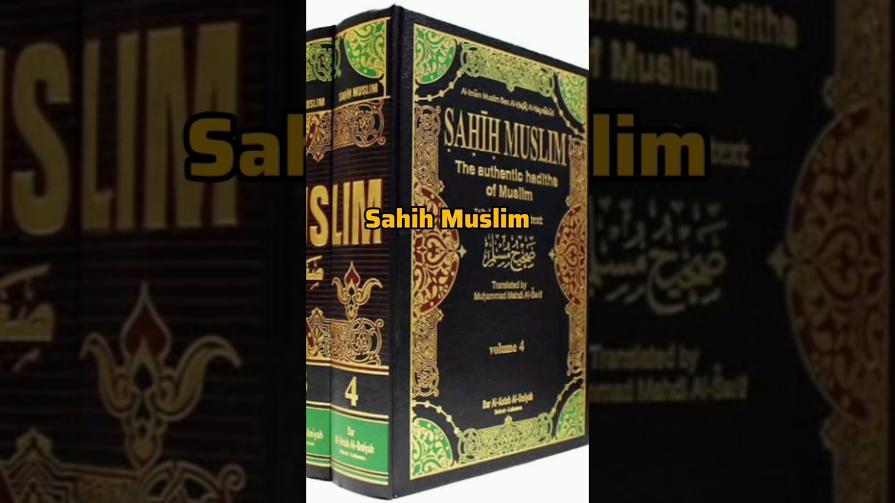 6 Most Authentic Hadith Books #shorts #shortsfeed #youtubeshorts #ytshorts #hadith #islam #quran #yt