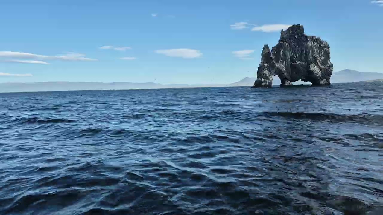 Elephant rock long sea birds