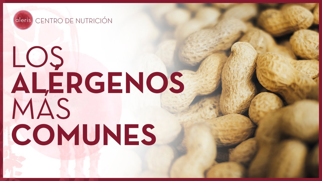 Los alérgenos más comunes | Introducción a las alergias e intolerancias alimentarias
