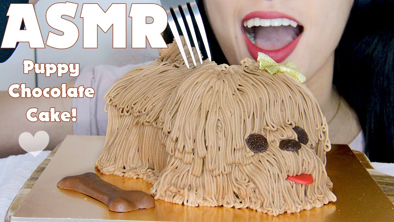 ASMR PUPPY CHOCOLATE CAKE - SOFT EATING SOUNDS [NO TALKING]