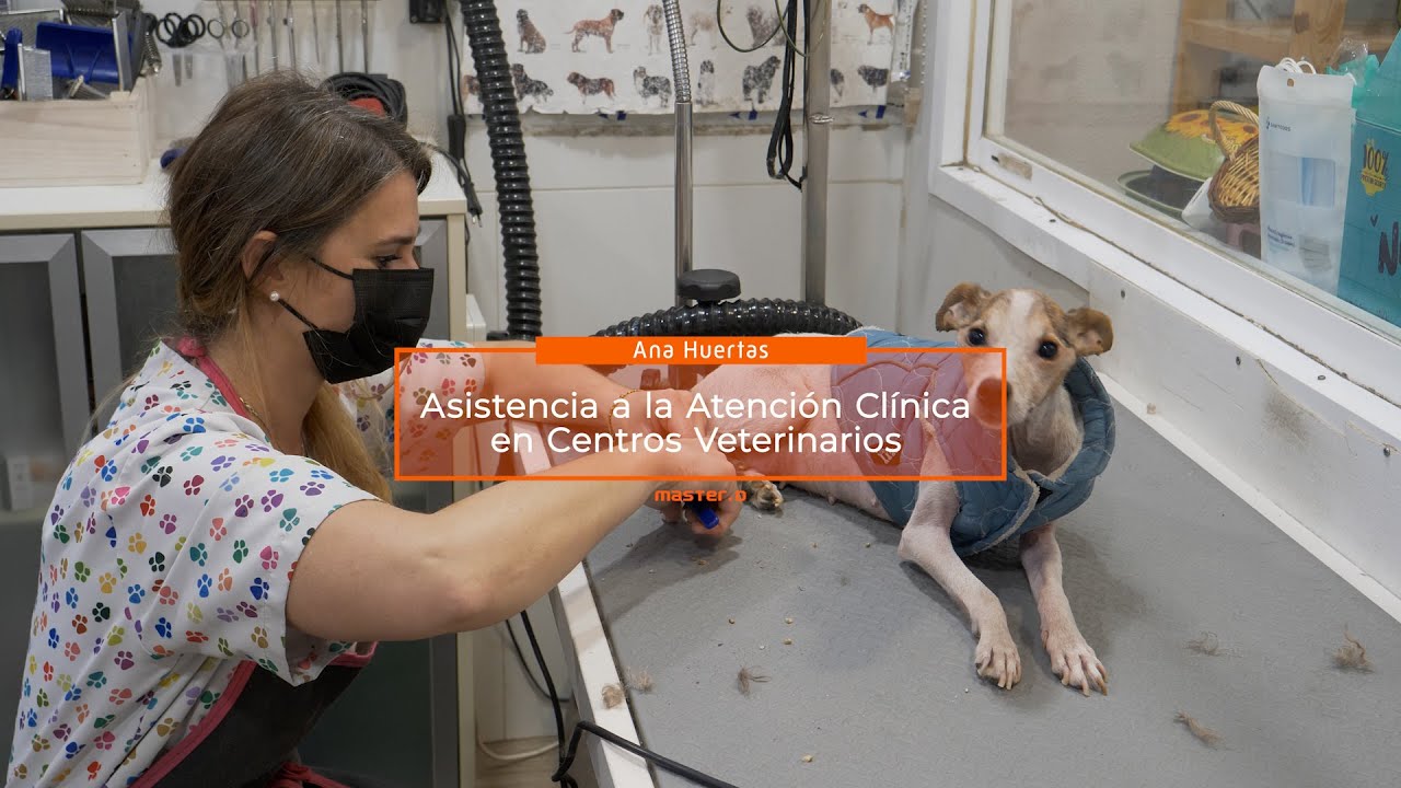 Cómo abrir una PELUQUERÍA CANINA 🐶 Alumna emprende con mucho 