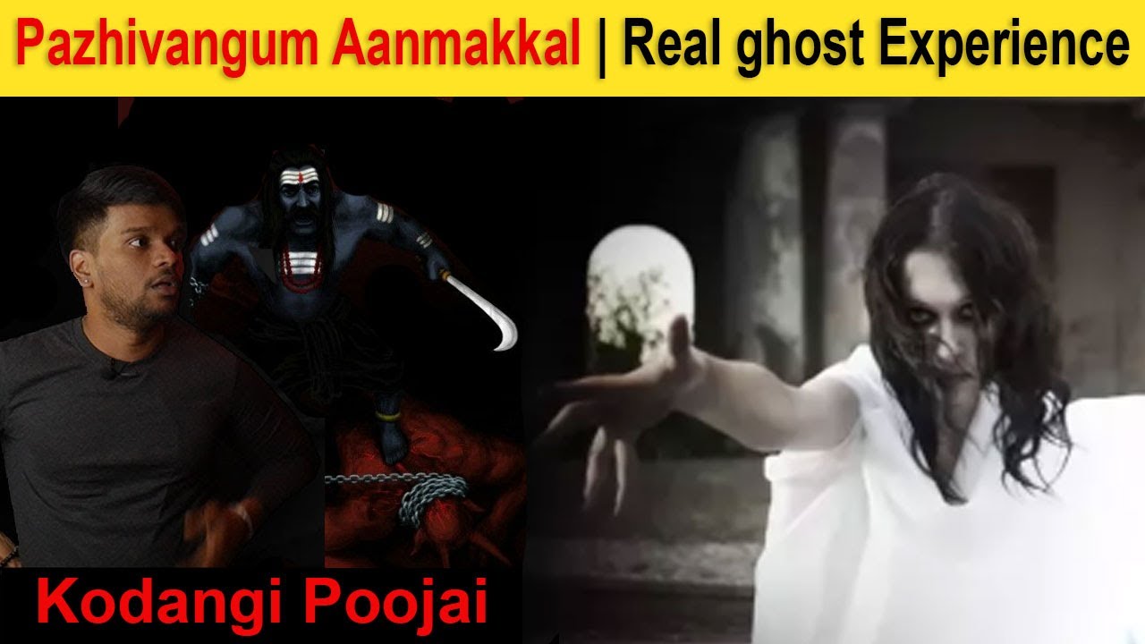 மதுரையில் நடந்த சம்பவம் Epi 47 | பழிவாங்கும் ஆன்மாக்கள் | Subscribers incident | Back to rewind