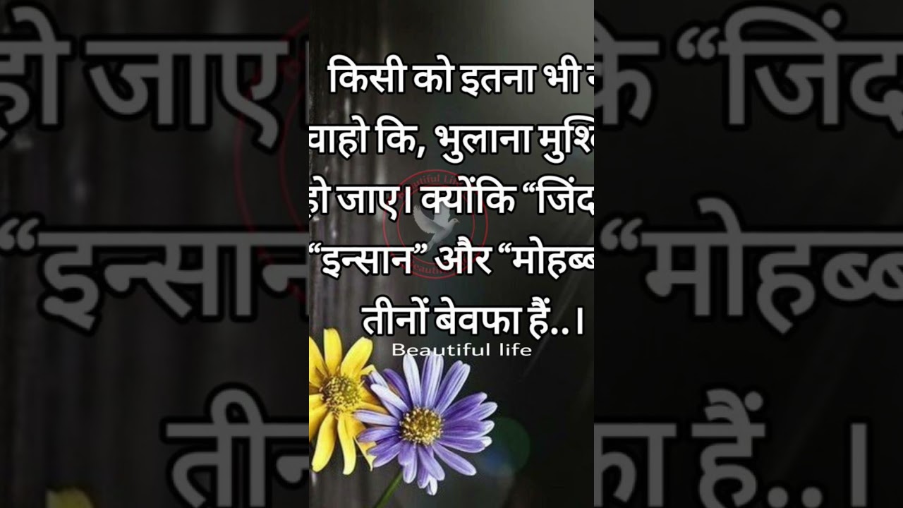Zindagi To Bewafa Hai