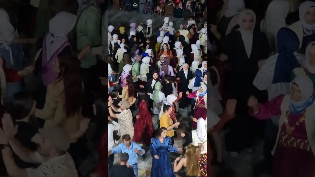 Sarıveliler düğün