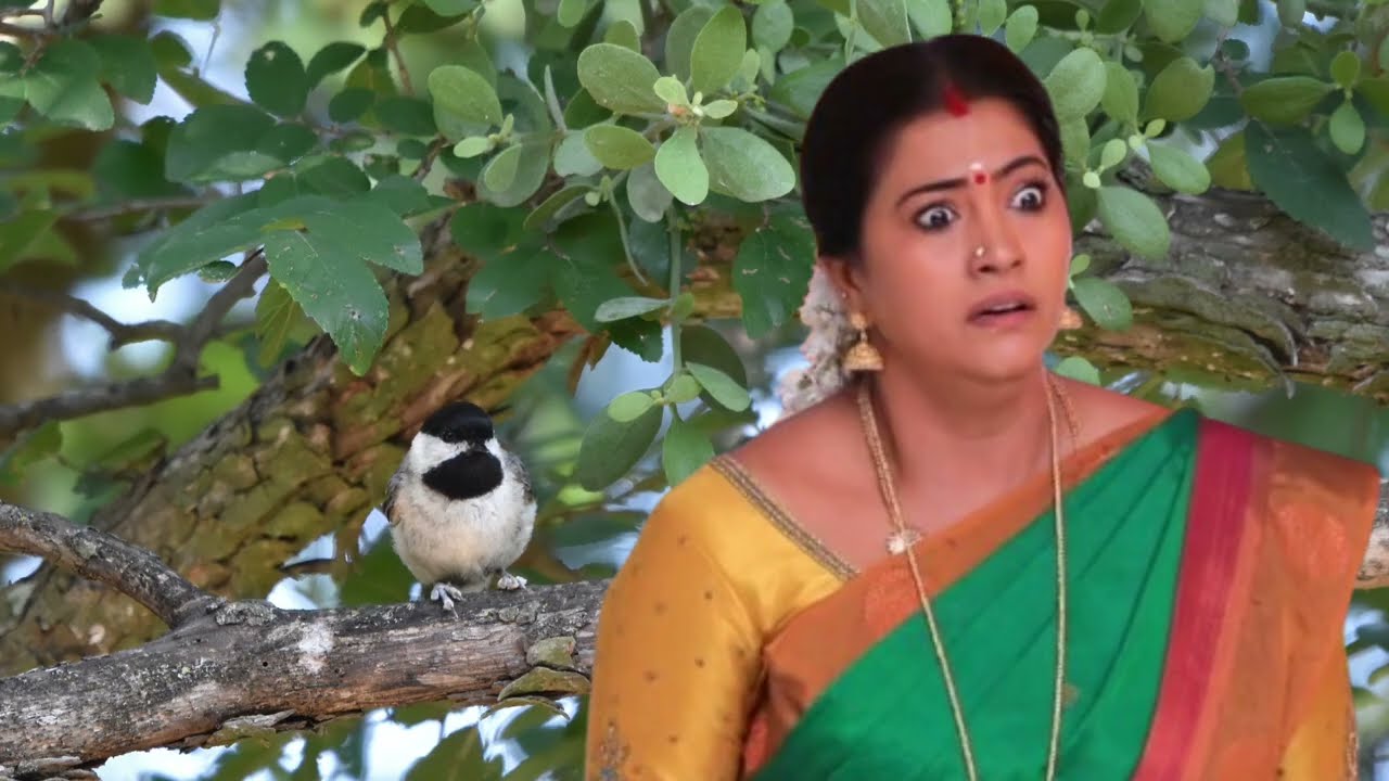 Chinna Marumagal Serial Upcoming Episode Review January 26th | 2026