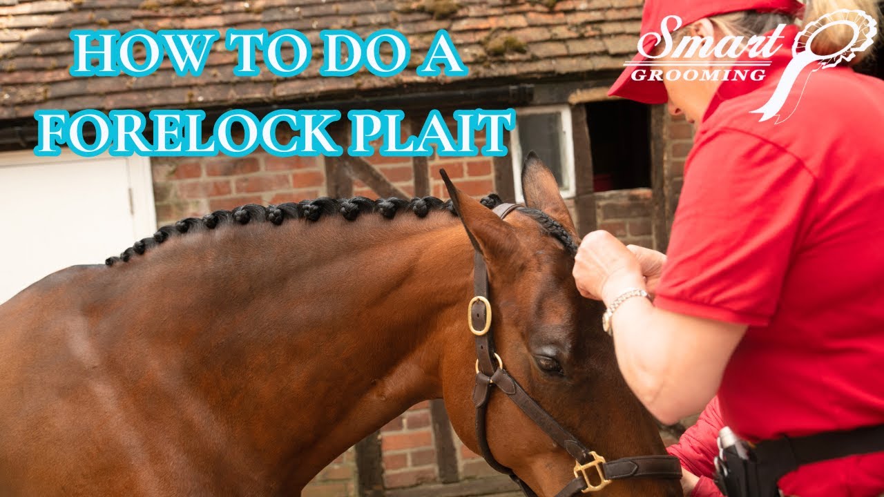 HOW TO PLAIT A FORELOCK