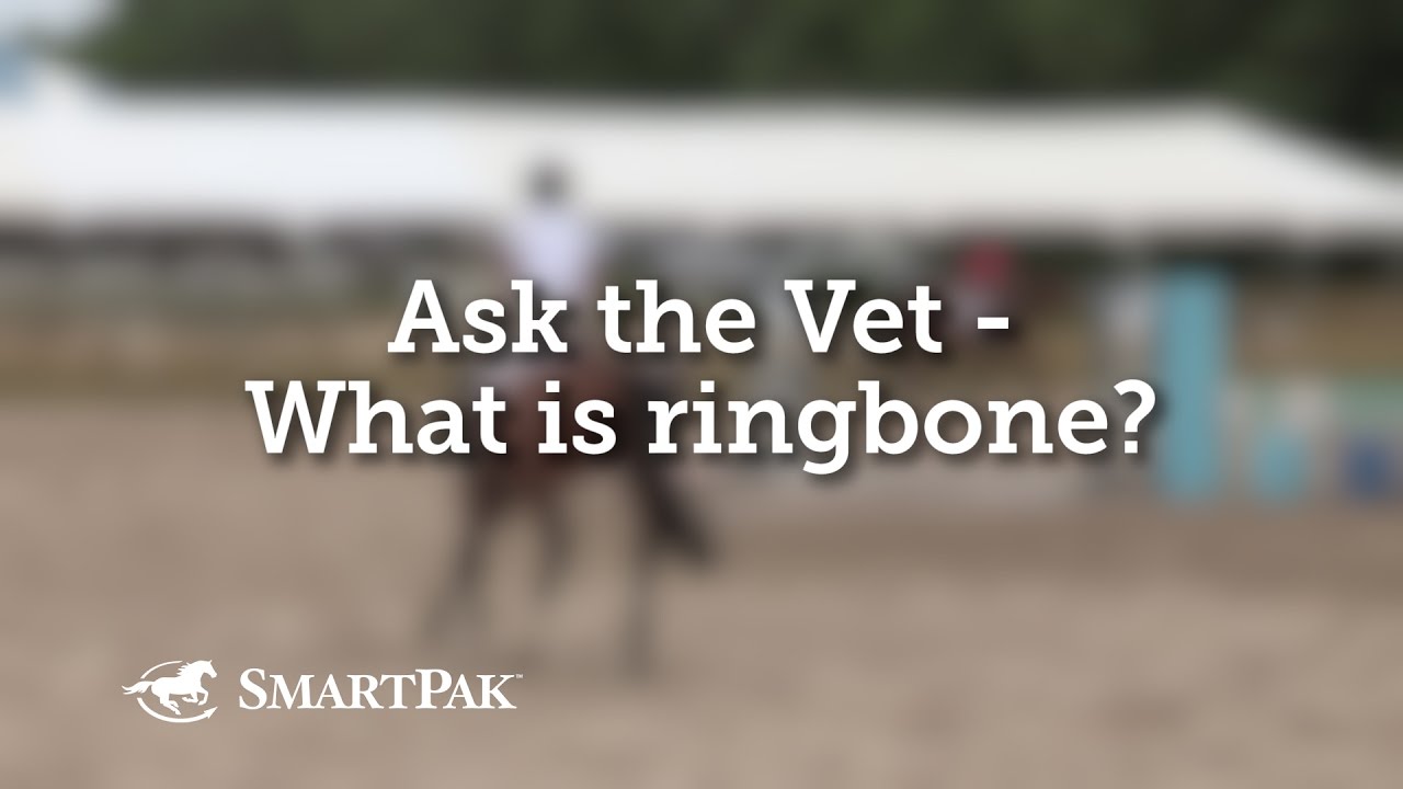 Ask the Vet - What is ringbone?