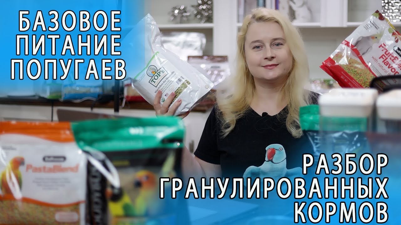 ЧЕМ КОРМИТЬ ПОПУГАЕВ | ПОЧЕМУ ЗЕРНОВОЙ КОРМ ВРЕДЕН | ГРАНУЛИРОВАННЫЙ КОРМ ДЛЯ ПОПУГАЕВ