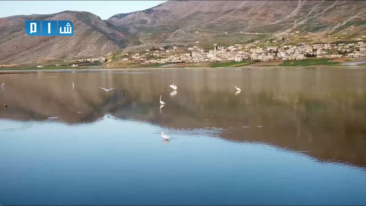 سحر الطبيعة في سهل الغاب كما لم تشاهده من قبل