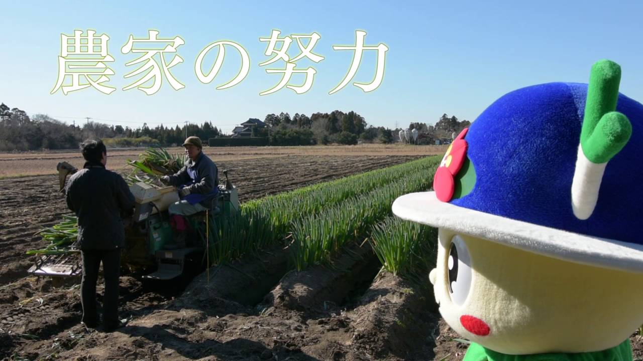 よこぴー物語 第１話 ひかりねぎの秘密の巻(横芝光町公式プロモーションビデオ)