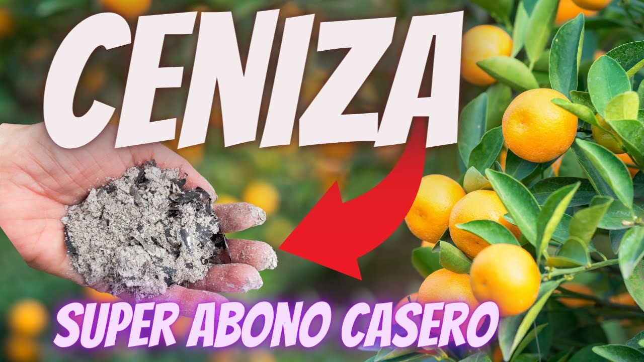 ⭐ CENIZA Abono para Floración y Crecimiento 🍒 Fertilizante Casero Orgánico para Frutales y Flores