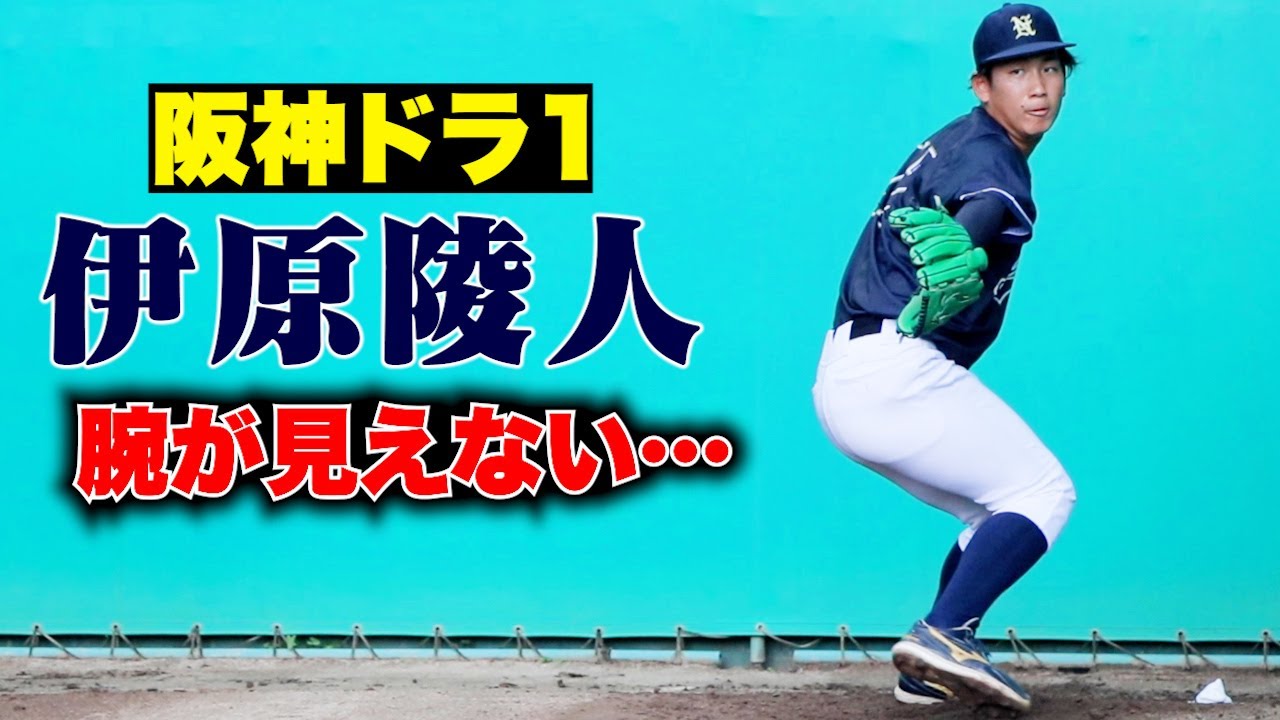 阪神ドラ１・伊原陵人…出どころが見えない究極のフォーム！