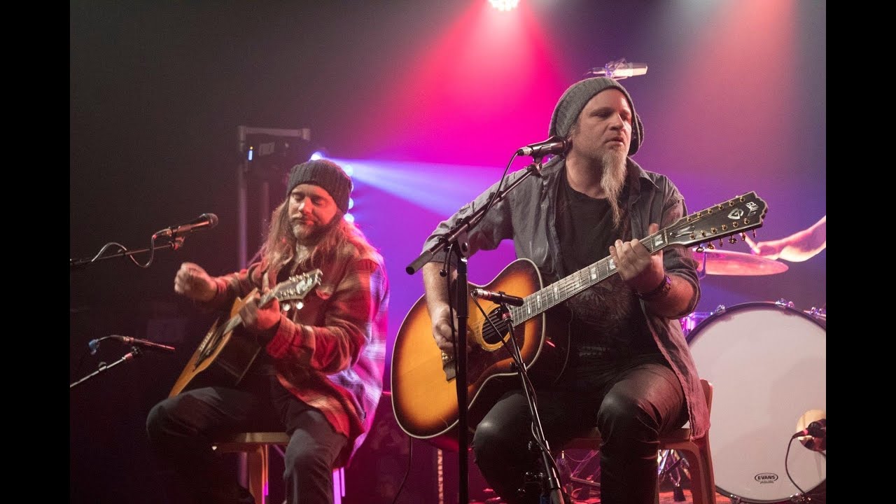 Cicadastone - Nutshell (Live acoustic)