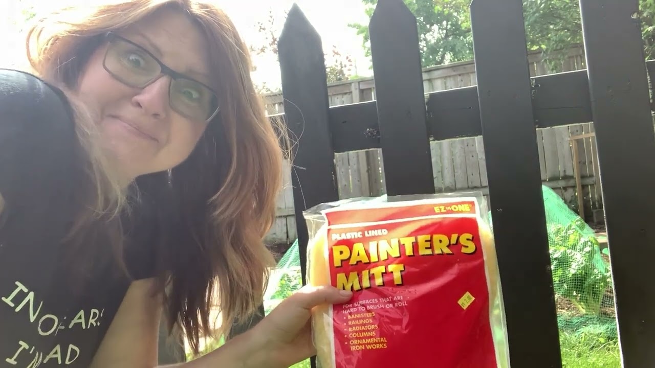 Paint Mitt  - Does It Work?