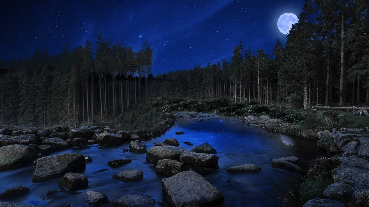 Bubbling Stream At Night Water Sounds White Noise | Crickets & Nature | Sleep, Study