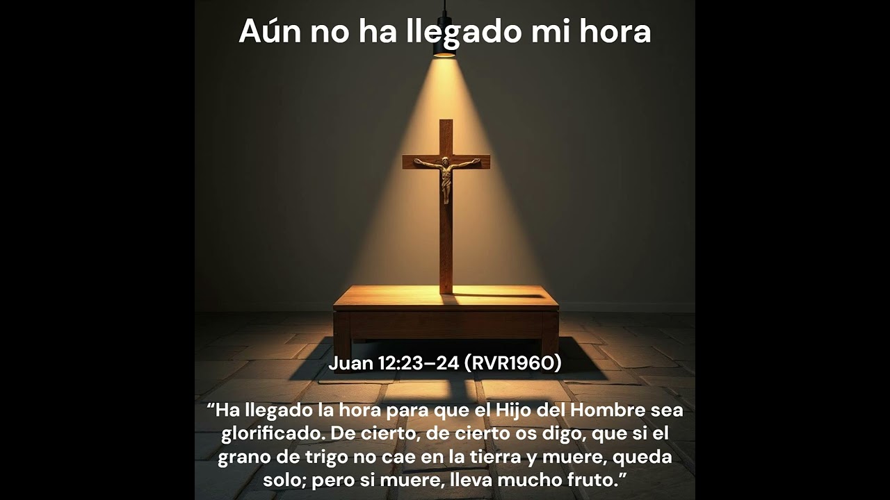Aún no ha llegado mi hora