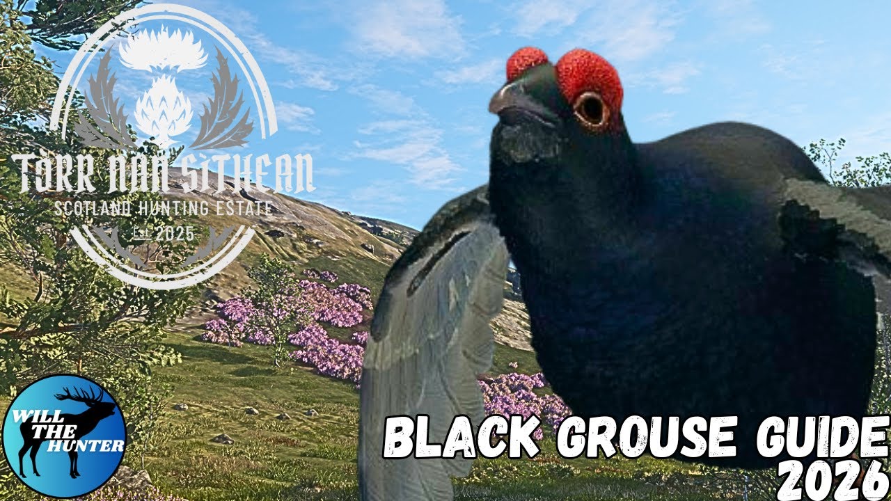Tòrr nan Sithean (Scotland) Black Grouse Zone Guide | TheHunter Call Of The Wild