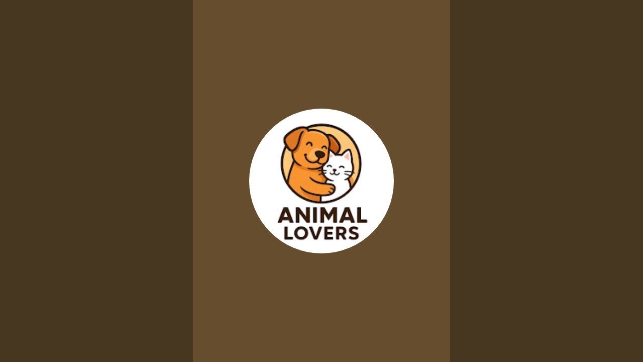 mau kesini ka?