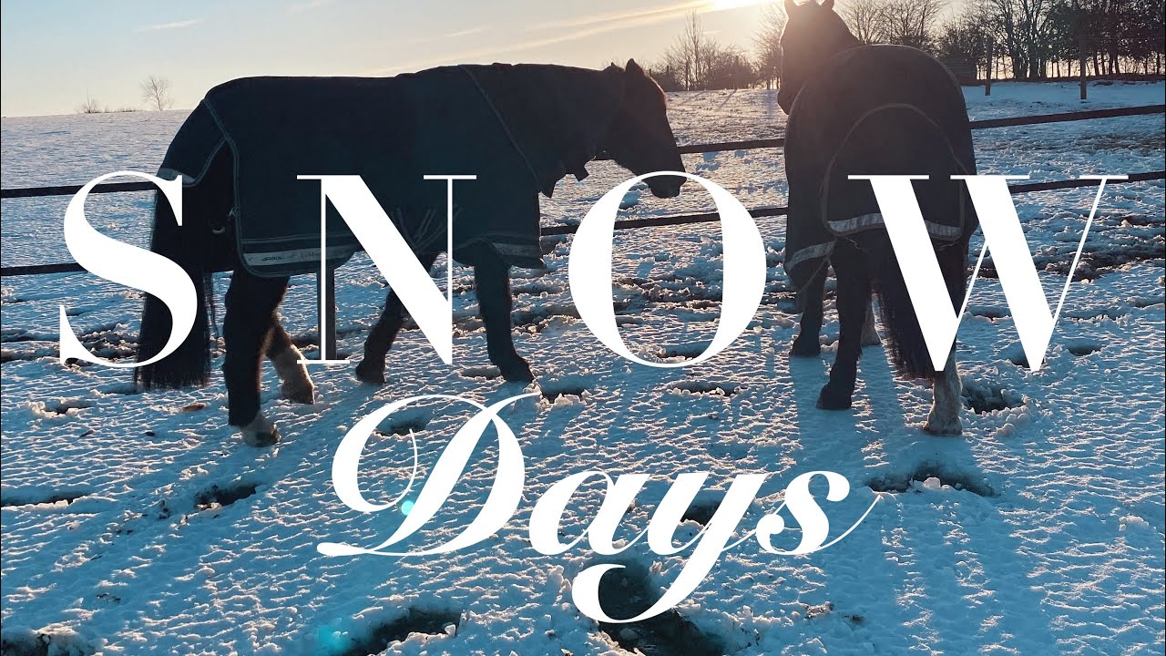 S N O W has 𝒶𝓇𝓇𝒾𝓋ℯ𝒹 on the yard 