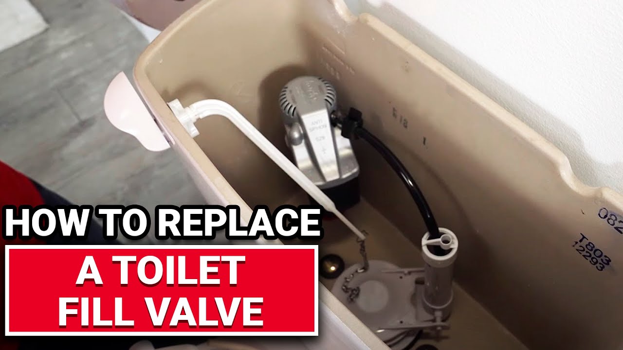 How To Replace A Toilet Fill Valve - Ace Hardware
