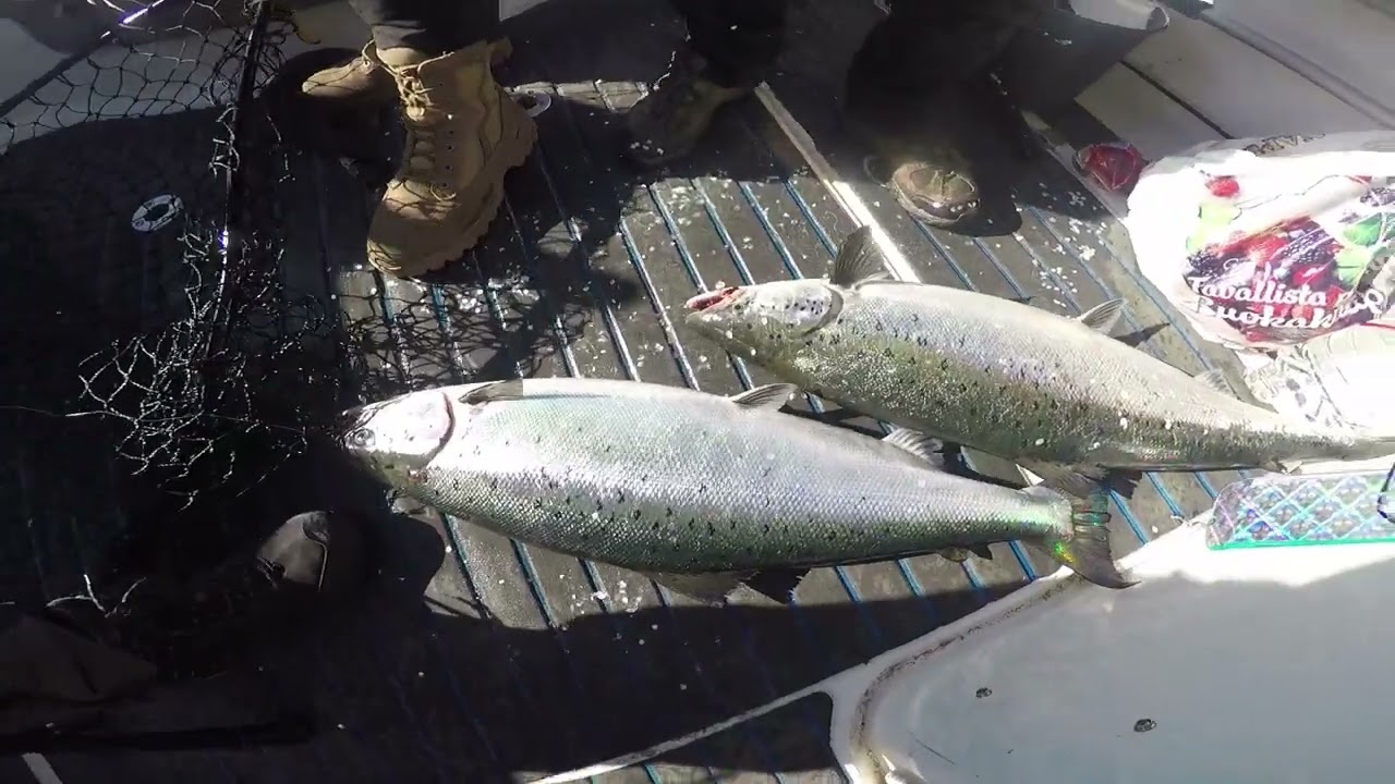 Loskapaukut - Hieno Harrastus osa 2