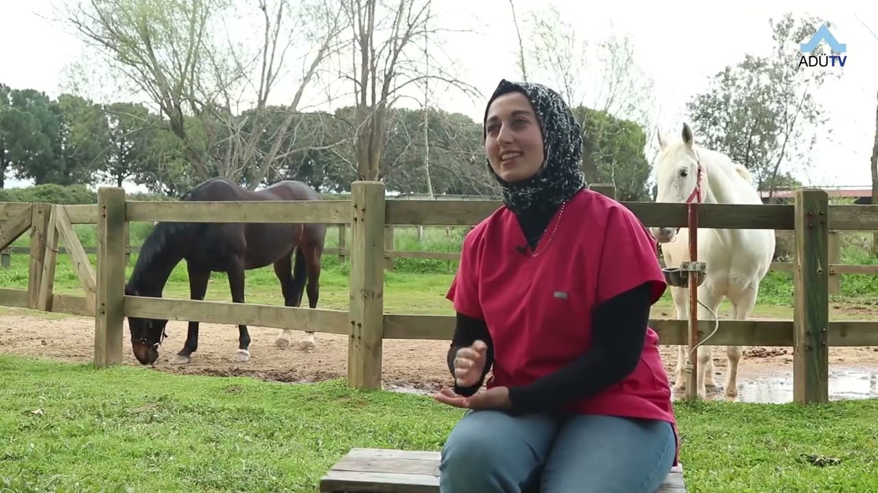 AD&Uuml; Binicilik Topluluğu İle İlgili Merak Edilenler AD&Uuml;TV'de!