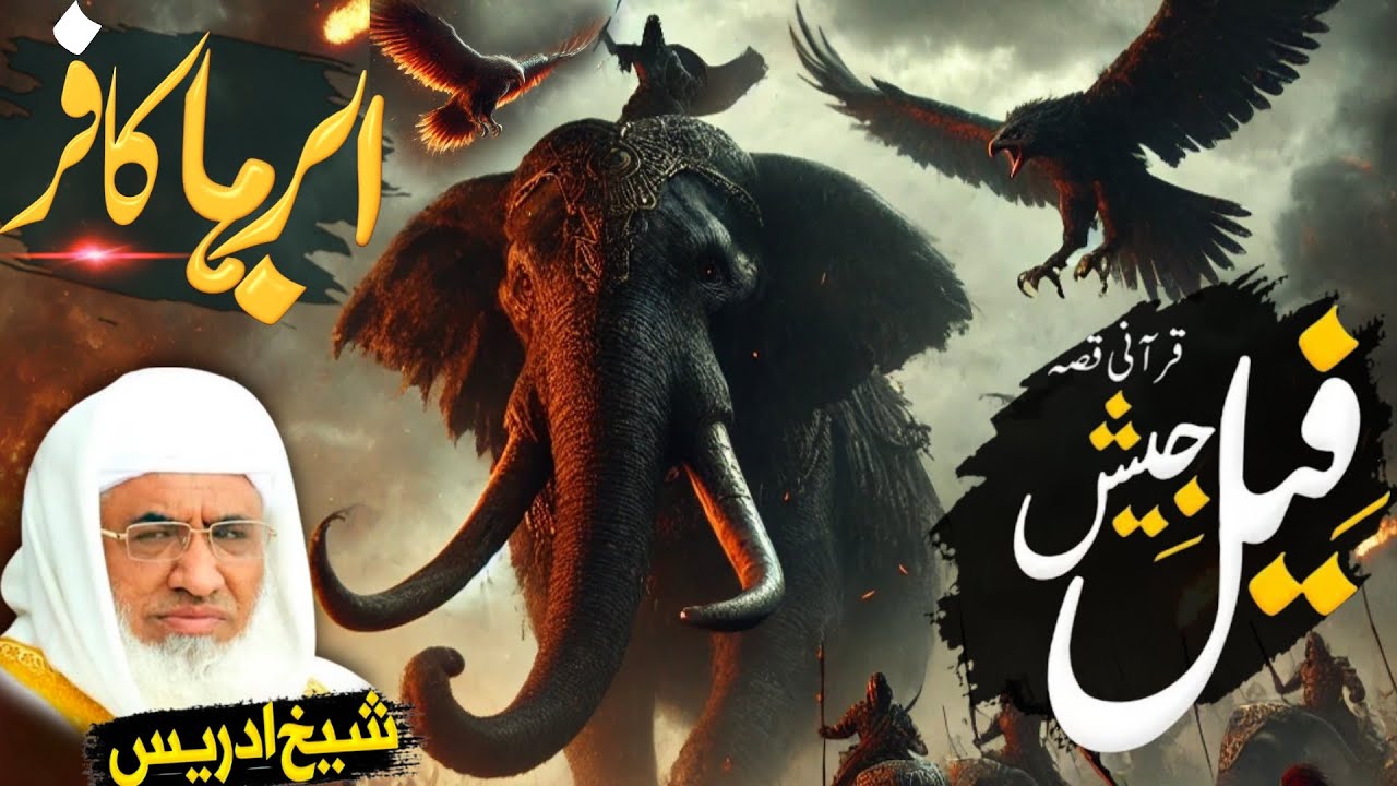 The Story of Abraha and Ababeel | Protection of Kaaba | Molana Sheikh Idrees Sahib Pashto Bayan